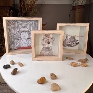 Set of 3 Decorative Shadow-box framed animal pictures